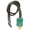 Four Seasons Chry Cordoba 78-75-Fifth Avenue 84-83-Le Pressure Switch, 35867 35867 - alternate 1